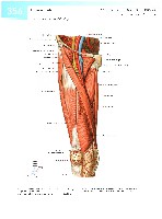 Sobotta  Atlas of Human Anatomy  Trunk, Viscera,Lower Limb Volume2 2006, page 363